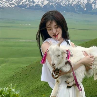 月与莱卡与吸血公主